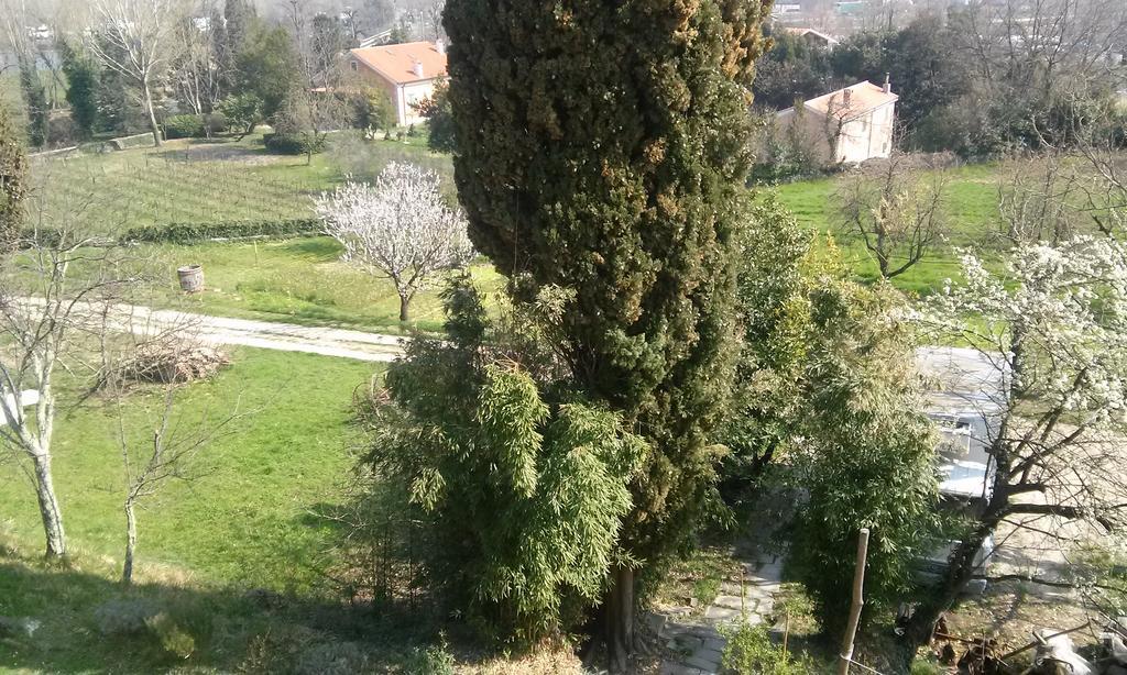 Agriturismo Bosco Fiorito Villa Múggia Eksteriør billede